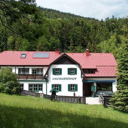 Landhaus Gschaiderhof Puchberg am Schneeberg Exterior foto